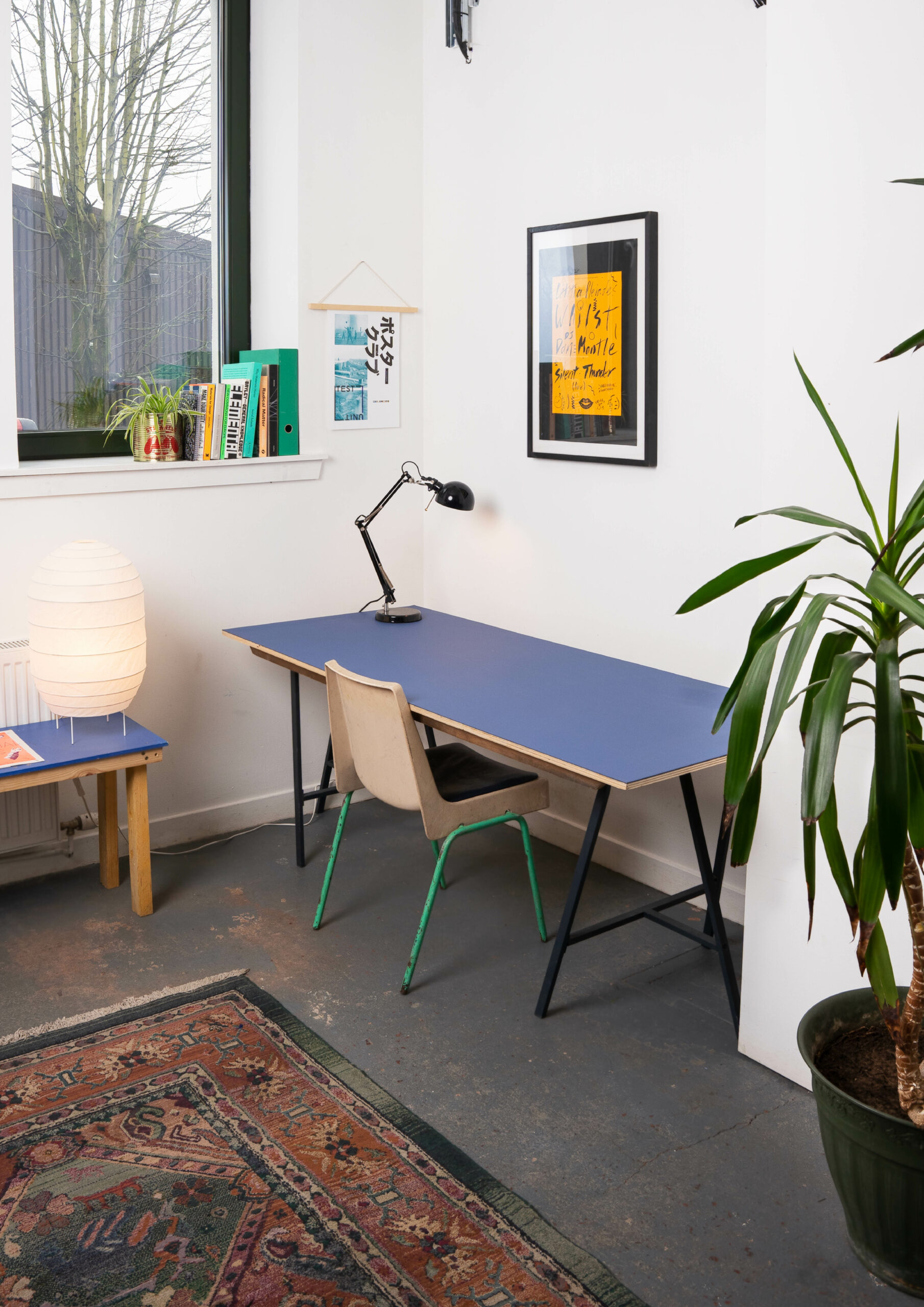 A photo of the accessible office on the ground floor at Civic House. A chair sits at a blue trestle table fitted with an adjustable lamp. Behind the table is a number of framed posters and a shelf of books while a plush green rug lays in the foreground. Plants litter the room and light comes in from the tall window in the background.